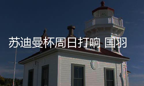 整体实力同样不容小觑