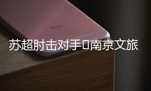 苏超刷屏被停赛一场