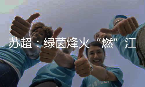 与其说这是绿茵一场球赛
