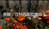 英媒：沙特方面批准纽卡高价签伊兰加�，目标还包括格伊等国脚球员