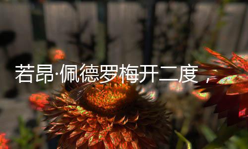 切尔西2-0击败弗鲁米嫩塞