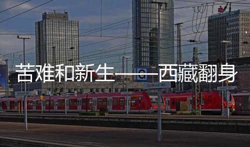 布杰将命运掌握在了自己手中