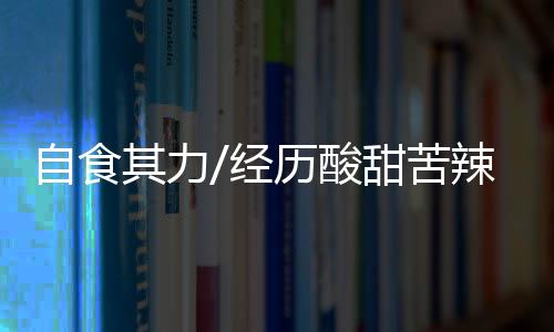 业主将场地改成了篮球场