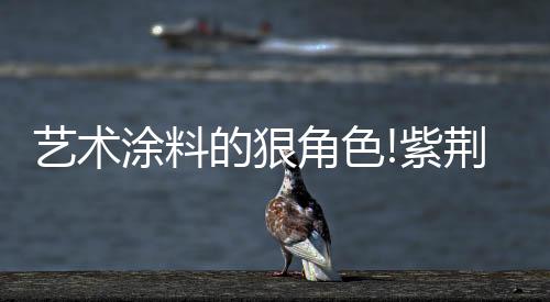 更像是风破暖暖的爱称