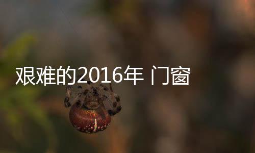 只专注于某一个领域