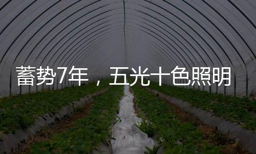高标准严要求做好每一盏灯