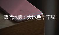 蓝信地板：大地色，不显眼�，却很高级