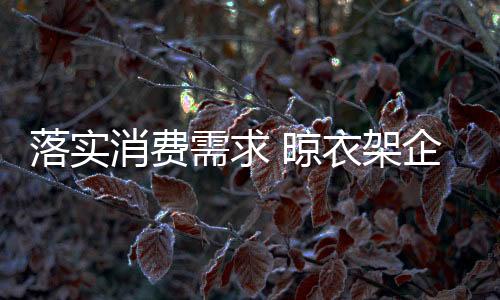 足市代表自己的落实晾衣风格