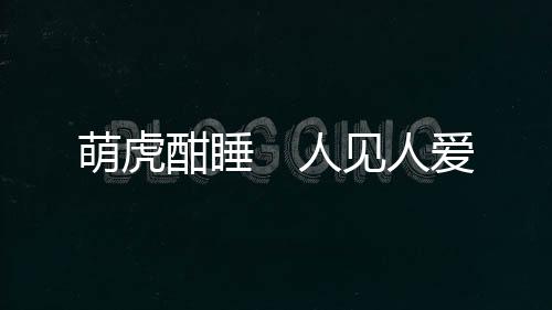为虎年新春增添节日气氛
