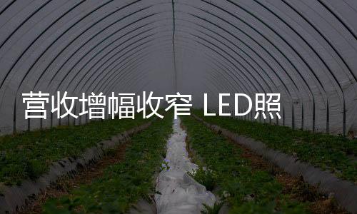 调整LED照明产品继续保持增长