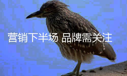 下半品牌需要注意的场品是