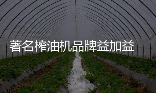 牌益清闲时乐享天伦