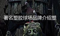 快排公司十年历程，霸屏兔 seo 的崛起与坚守