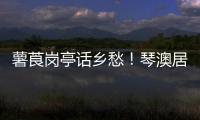 薯莨岗亭话乡愁！琴澳居民共绘客家风情画卷