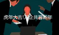 快排公司十年历程，霸屏兔 seo 的崛起与坚守