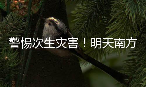 北方多地气温“大跳水”