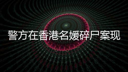 前婆情况均属于死者蔡天凤