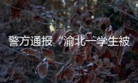 警方通报“渝北一学生被人贩子针扎后昏迷”：嫌疑人已被刑拘