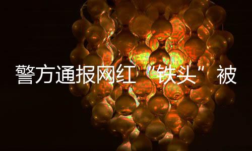 铁头久插视频