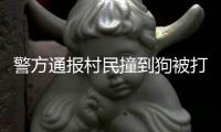 警方通报村民撞到狗被打：5名嫌疑人到案 犬主曾任村干部