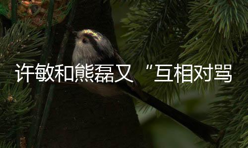 互相对骂熊磊说早迁西安了