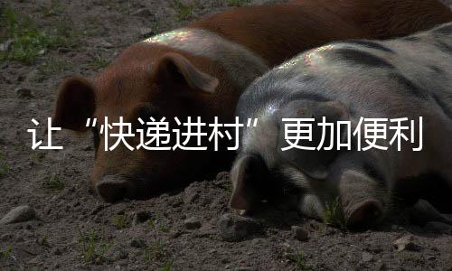 快递进村后天在餐桌上”