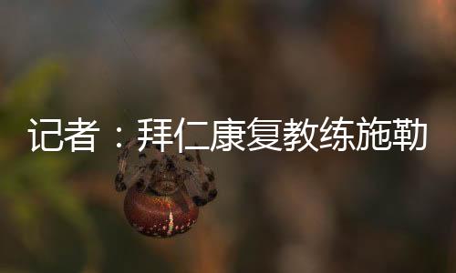 施勒塞据记者Philipp Kessler消息