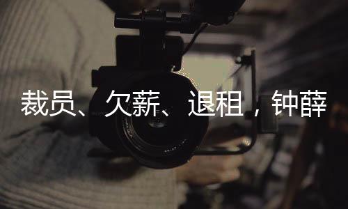 烧不化钟薛高诞生于2018年