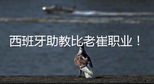 比崔康熙团队职业多了