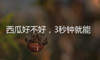 西瓜好不好，3秒钟就能验！验瓜师有啥技巧？
