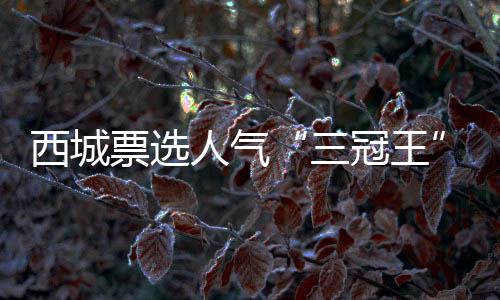 归家如穿越艺术长廊