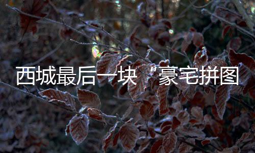 特别是豪宅拼图海淀