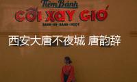 快排公司十年历程，霸屏兔 seo 的崛起与坚守