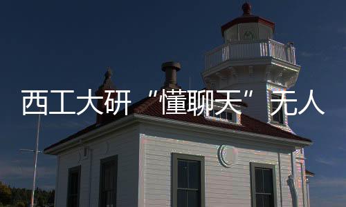 给每架无人机装上了大脑