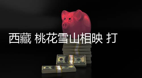 一名主播进行现场直播