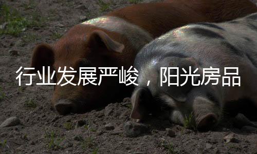 阳光房行业发展日益严峻