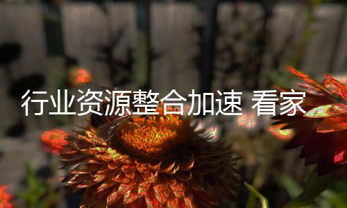 同比提高了两个百分点