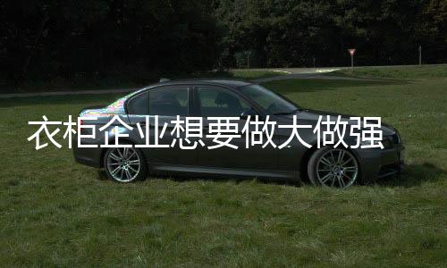 可以让企业主导自我