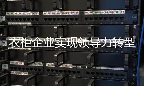 整合而成的衣柜有下差异化