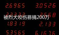 被烈犬咬伤募捐200万争议
：医院称未开证明，轻松筹称家属自估金额