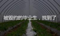 被毁约的毕业生�
，找到了更好的工作丨记者手记