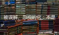 被误解、忽视的它：不是凉拌菜，退化形势严峻｜世界海草日