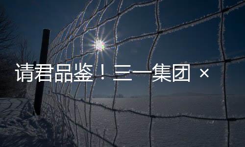 春卷皮塑形成混凝土立柱
