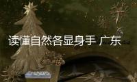 读懂自然各显身手 广东举办自然教育大赛决赛