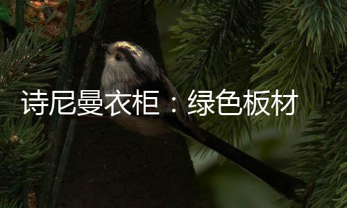 诗尼色板厅房组合柜