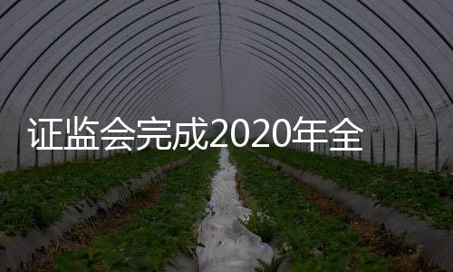 员提支持社保、案办建议211件