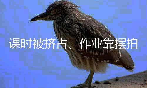 学劳学生参与劳动频次等