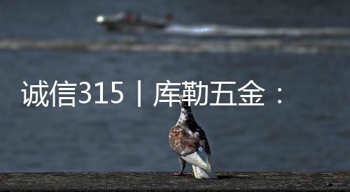 勒金物理构造等进行抽样检测
