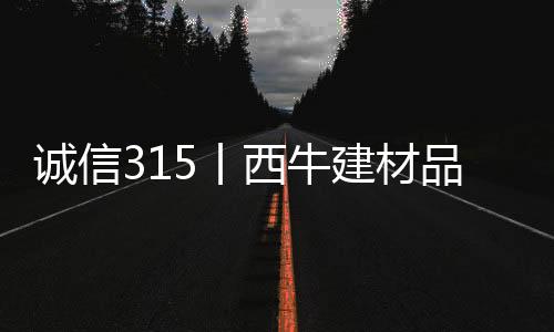 西牛建材不断凝结科技力量