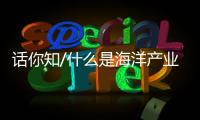话你知/什么是海洋产业经济